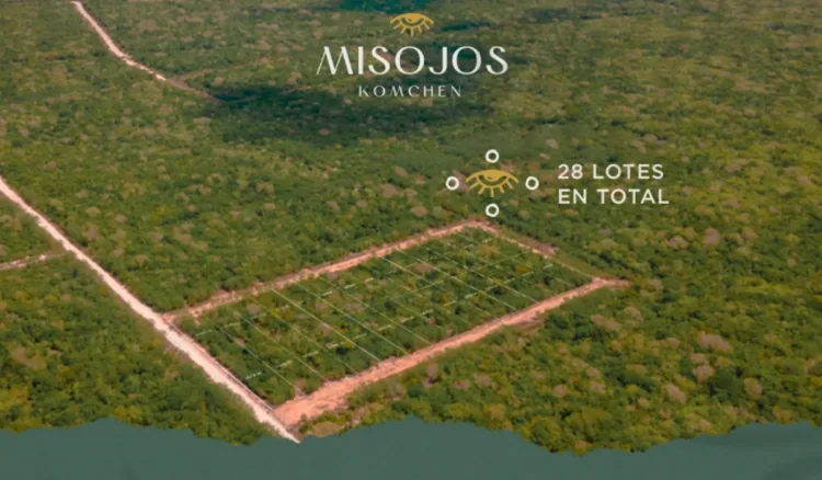 Terrenos en Komchén al norte de Mérida con vegetación de monte bajo